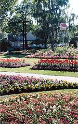 Red Deer City Hall park gardens